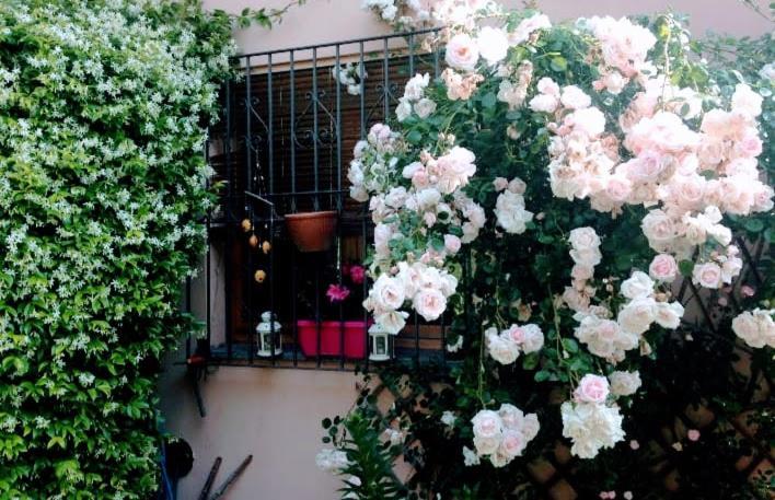 Appartamento La Terrazza Di Dora Menaggio Buitenkant foto